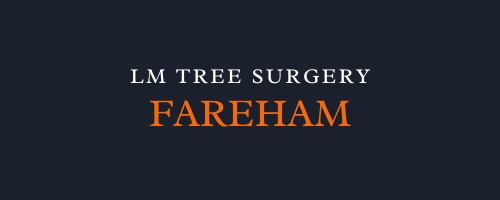 LM Tree Surgery Fareham